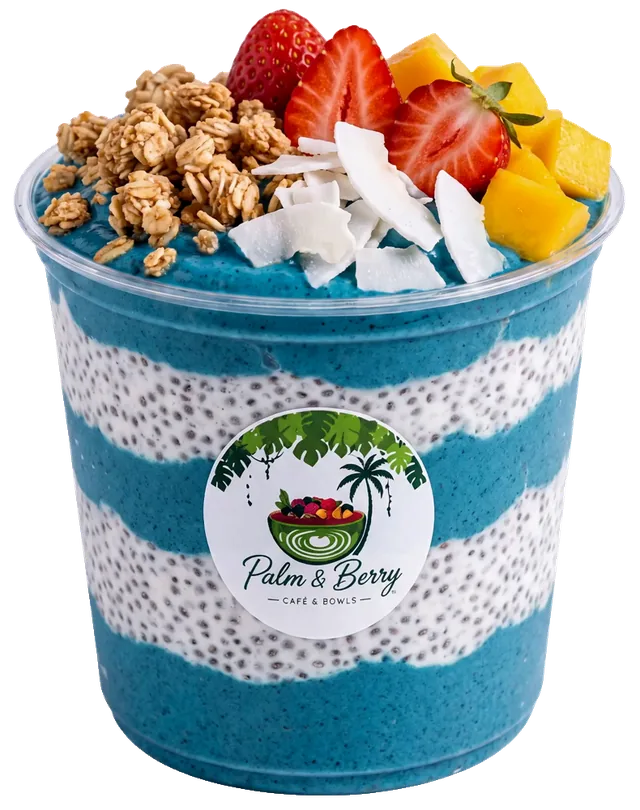 Ocean Dream Spirulina Bowl im Palm & Berry Becher