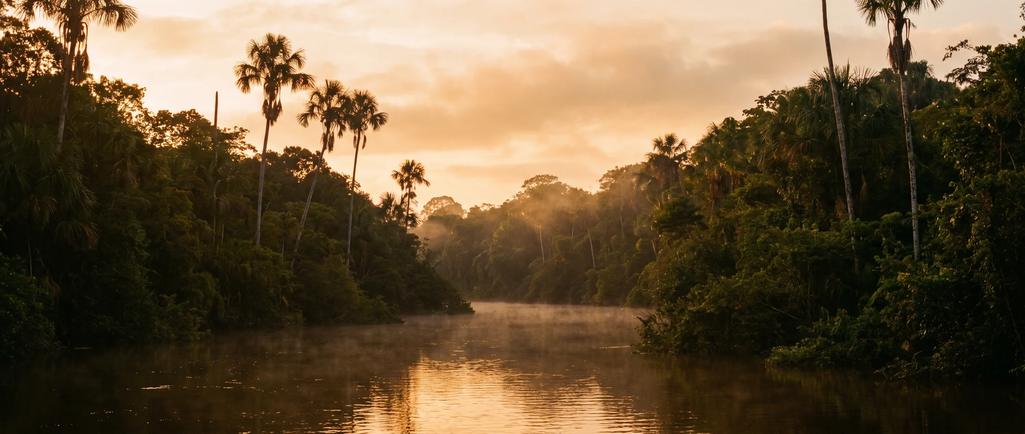 Ein Fluss im brasilianischen Amazonasgebiet im Morgenlicht, Palmen am Ufer, Nebel über dem Wasser